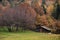 Autumn landscape in Stiavnica mountains with wooden chalet covered with fallen leaves