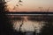 Autumn landscape of sunset with footbridge and reeds growing in water of lake