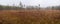 Autumn landscape. Swamp with pine trees in the fog, against the background of the forest.