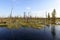 Autumn landscape swamps in northern Russia