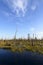Autumn landscape swamps in northern Russia