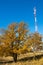 Autumn Landscape, Telephone Relay Tower. engaged in a task or ac