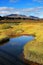 Autumn landscape in Thingvellir National Park, Iceland.