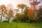 Autumn landscape with trees and araucarias in Gramado, rio Grande do Sul, Brazil