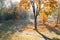 Autumn landscape. Trees, grass, trail, fog, hoarfrost, leaves, water, sunlight, sky