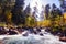 Autumn landscape with trees and river, Caucasus mountains