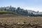 Autumn landscape in Tuscany, Italy, with a plowed field, vineyards and an alley with trees on the outskirts of the village