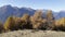 Autumn landscape in Valtellina in Italy.