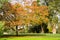 Autumn landscape, Vasona Lake County Park, San Francisco bay area, Los Gatos, California