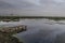 Autumn landscape view from Comana delta