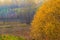 Autumn landscape view fields woods fall colors