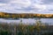 Autumn landscape with a view of the lake, islands and trees. Overcast weather. Bright colors of nature