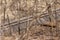 Autumn  landscape view of railroad tracks at the bottoms of a wooded ravine