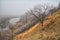 Autumn landscape - view of the steep riverside, covered with fog, over the meadows between hills and forests