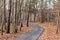 Autumn landscape view of a woodland walking trail