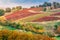 Autumn landscape, vineyards and hills at sunset. Modena, Italy