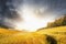 Autumn landscape with wheat field over stormy sunset sky