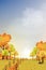 Autumn landscape wonderland forest with grassland, Mid autumn with maples orange foliage trees and leaves falling in, Fall season