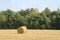 Autumn landscape - worn field