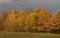 Autumn landscape yellow and orange trail,to get into the forest.