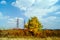 Autumn landscape with yellow tree and powerline towers