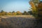 Autumn landscape with yellowed grass and trees in the field.