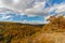 Autumn landscape of the yellowing leaves of the trees in the forest and blue cloudy sky