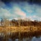 Autumn landscapes on the banks of the Seversky Donets River