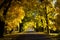 Autumn landscapes in the countryside.