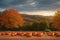 Autumn landscapes with pumpkins Incorporate a foreground element made with generative ai