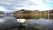 Autumn Landscapes - Swan on Lake Lugano