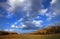 Autumn landscrape trees under sky