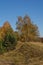 Autumn lanscape. Autumn trees on Podlachia. Poland