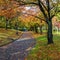 Autumn Laves at Hiroshima Central Park in Japan