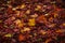 Autumn leaf carpet. colorful leaf.