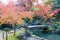 Autumn leaf color at Nagaoka Tenmangu Shrine in Nagaokakyo, Kyoto, Japan. The Shrine was a history of