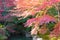 Autumn leaf color at Nagaoka Tenmangu Shrine in Nagaokakyo, Kyoto, Japan. The Shrine was a history of