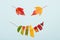 Autumn leaf cut colorful gradient transition smile face arrangement