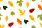 Autumn leaf fall. Autumn oak leaves in Orange, Yellow. Hand drawn vector botany texture. Perfect for wallpaper, gift