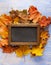 Autumn leaf frame for words and inscriptions, copy space