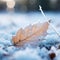 An autumn leaf lying on the ground covered in snow, AI