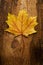 Autumn leaf over old board