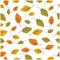 Autumn leaf seamless background