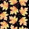 Autumn leaf seamless pattern. Watercolor vintage illustration. Isolated on a black background.