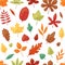 Autumn leaf vector autumnal leaves falling from fallen trees leafed oak and leafy maple or leafing foliage illustration