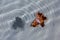 Autumn leaf in the water fountain