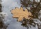 Autumn leaf in water with trees reflections, forest in autumn