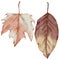 Autumn Leaf  watercolor isolate on white background