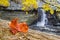 Autumn Leaf and Waterfall