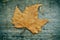 Autumn leaf on a weathered wooden background